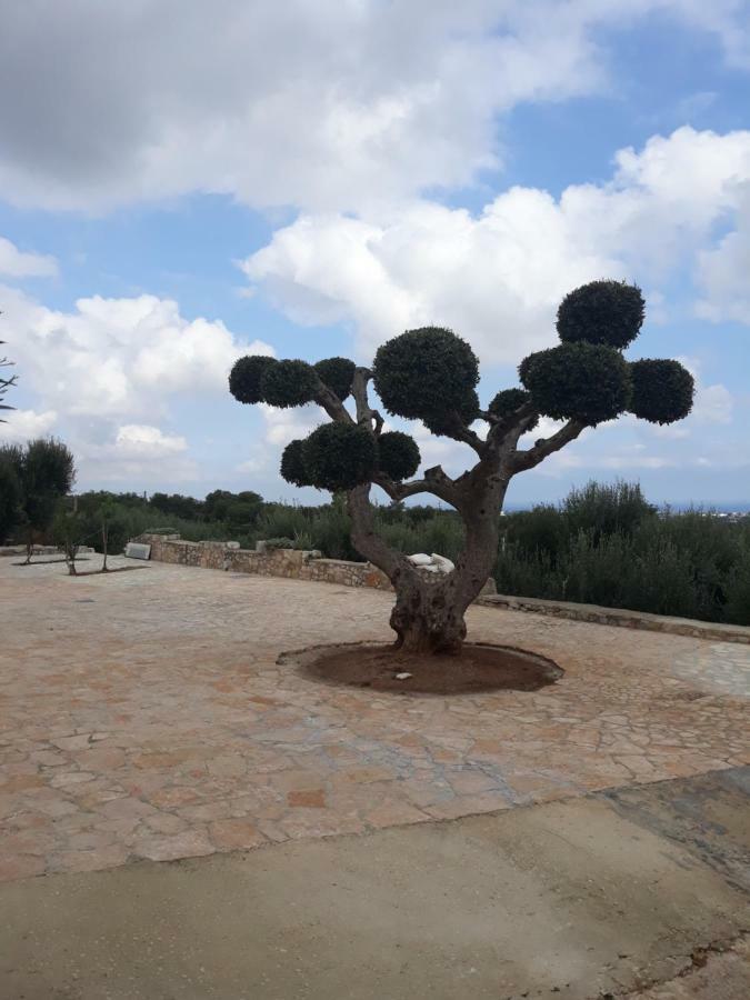 Casa Campagna Daire Fasano Dış mekan fotoğraf