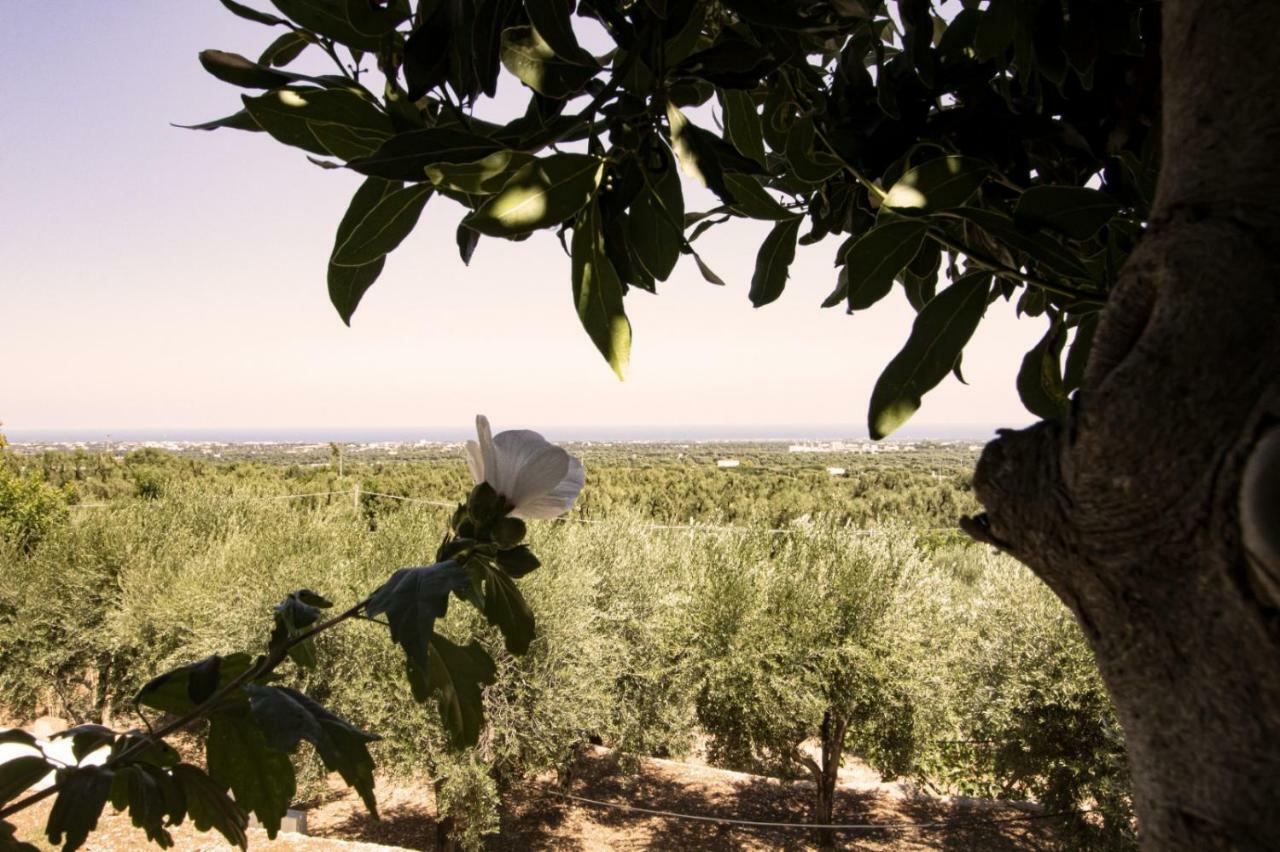 Casa Campagna Daire Fasano Dış mekan fotoğraf
